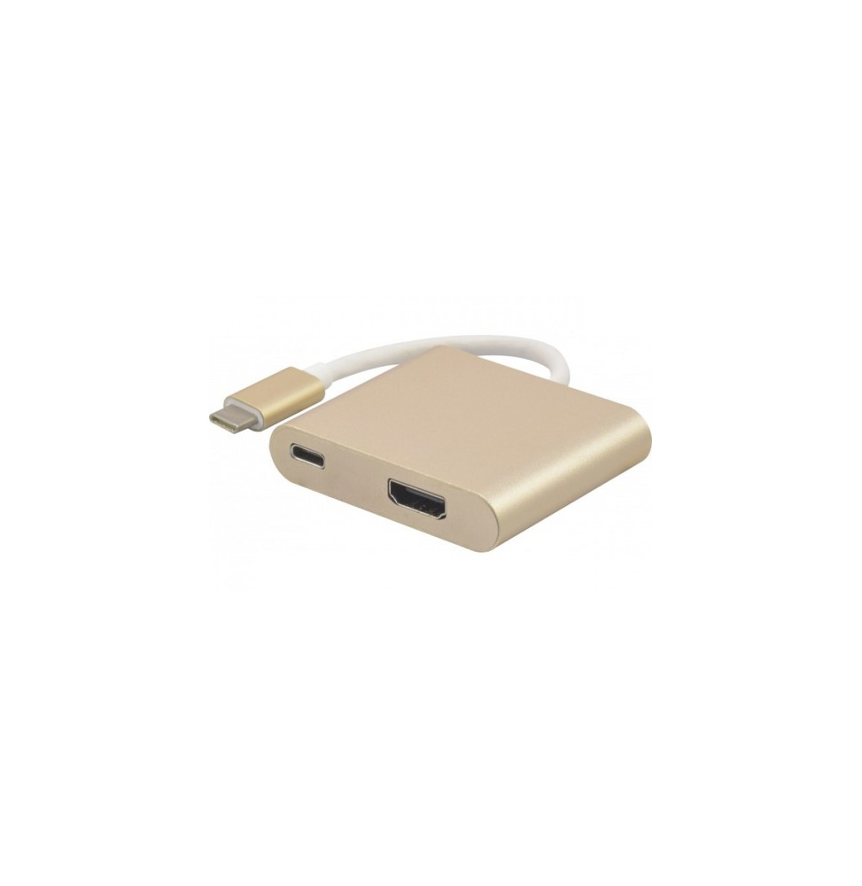 Adaptateur USB 3.1 Type-C vers HDMI 2.0 4K 60Hz  + charge par type-C